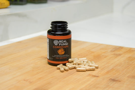 Cápsulas Cordyceps Militaris 90/500mg