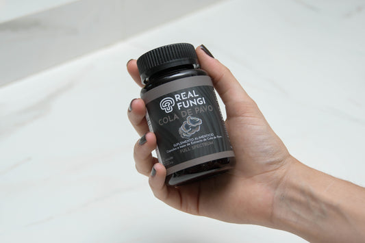 Cápsulas Cola de Pavo 90/500mg