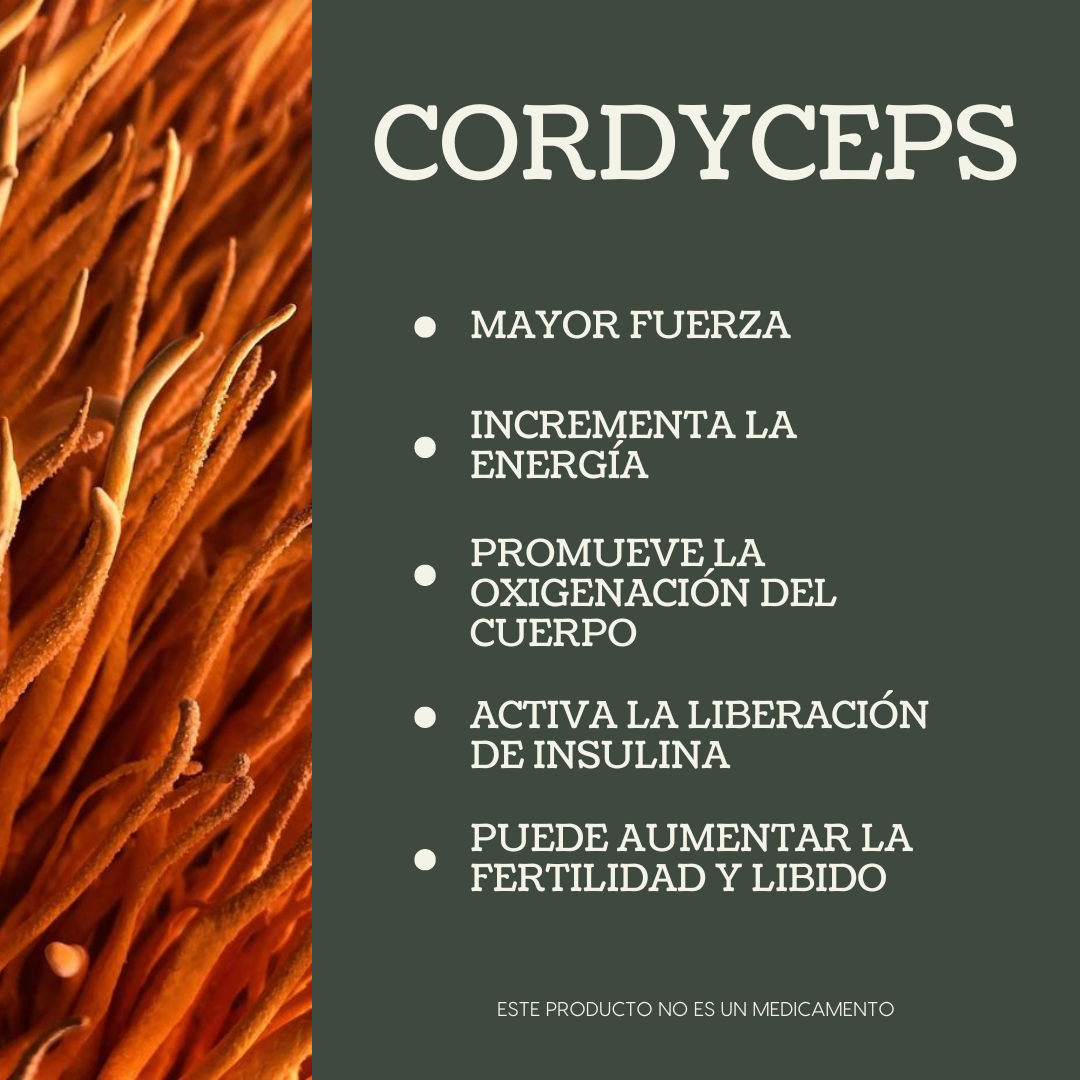 Extracto Líquido Cordyceps 50ml