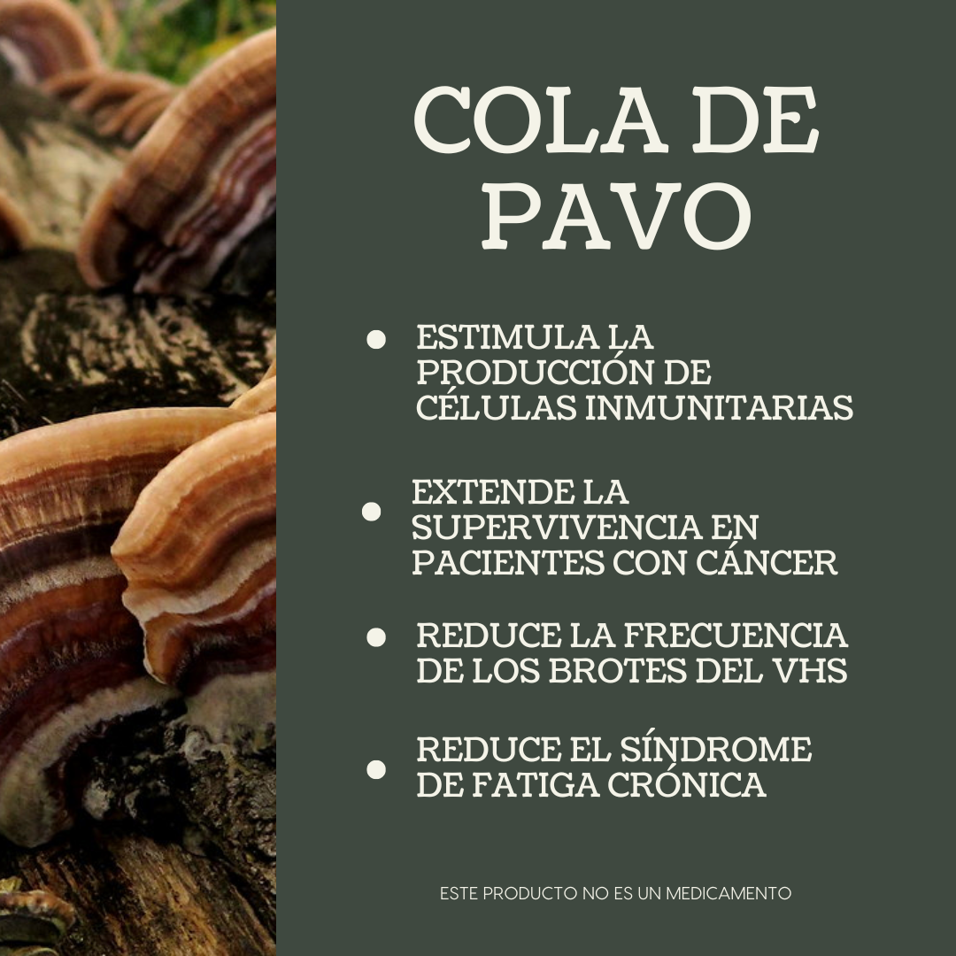 Extracto en Polvo Cola de Pavo 100gr