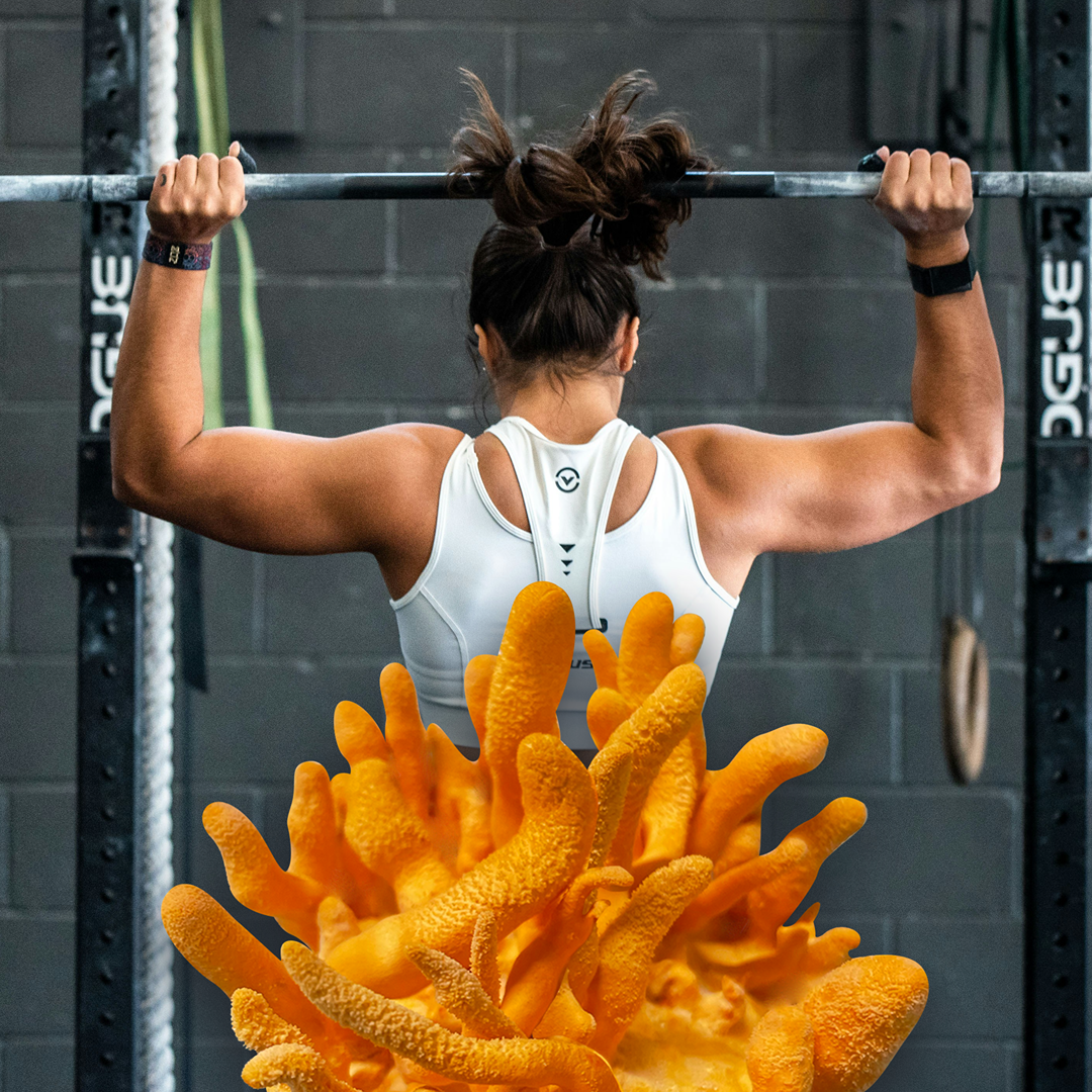 El hongo Cordyceps es potencialmente benéfico para el rendimiento atlético