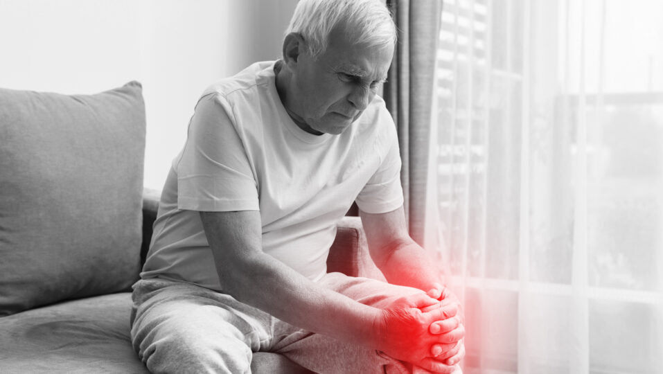 El hongo Melena de León puede ayudar a eliminar los síntomas de la osteoartritis