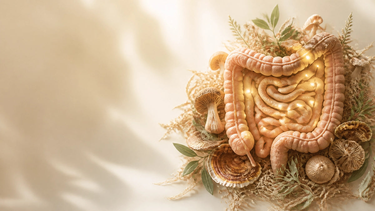 Ilustración conceptual de un intestino rodeado de hongos, fibras y elementos naturales en tonos tierra