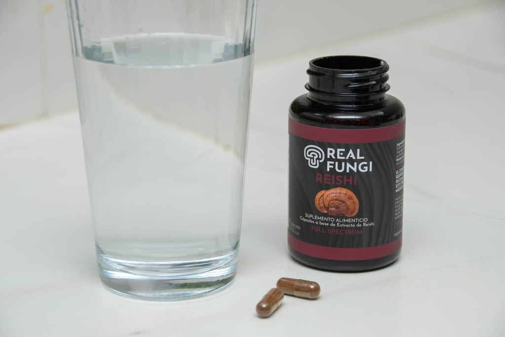 Cápsulas Reishi 90/500mg