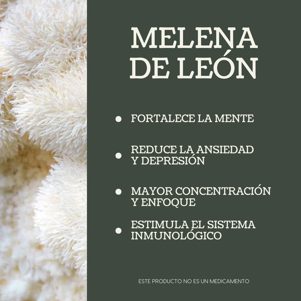 Extracto Líquido Melena de León 50ml