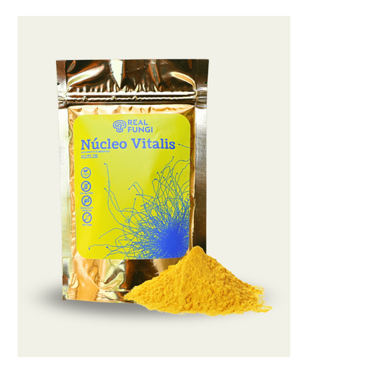 Núcleo Vitalis - Posbiótico a base de Cordyceps militaris, polvo 100grs